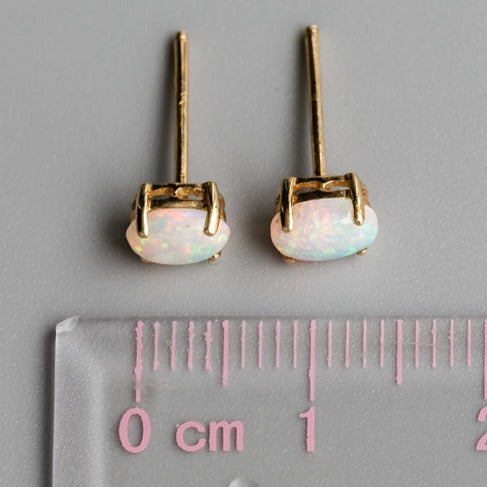 Oval Stud Earrings